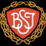 Brøndby Strand IK