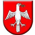 TJ Družstevník Čičarovce