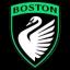 Team logo