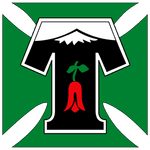 Deportes Temuco