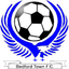 Team logo