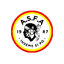 Team logo