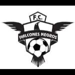 Halcones Negros FC