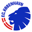 Team logo