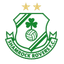 Team logo