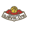 Gjøvik-Lyn