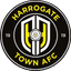 Team logo
