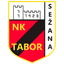 Team logo