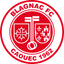 Team logo