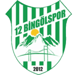 12 Bingölspor
