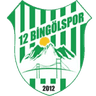 12 Bingölspor