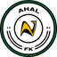 Team logo