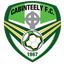 Team logo