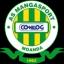 Team logo