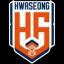 Team logo