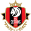 Team logo