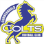 Team logo