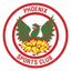 Team logo