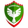 Amed Sportif Faaliyetler
