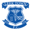 Team logo
