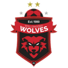 Wollongong Wolves