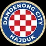 Dandenong City FC