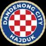 Dandenong City FC