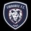 Team logo