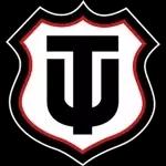 Técnico Universitario
