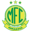 Team logo