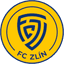Team logo