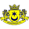 Moneyfields