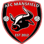 Team logo