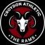 Team logo