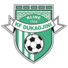 Dukagjini