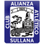 Team logo