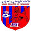 Team logo