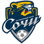 Team logo