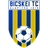 Bicskei TC
