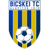 Bicskei TC