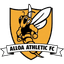 Team logo