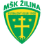 Team logo