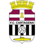 Team logo