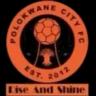Polokwane City