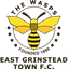 Team logo