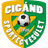 Cigánd SE