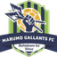 Team logo