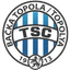 Team logo