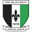 Team logo