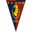Team logo